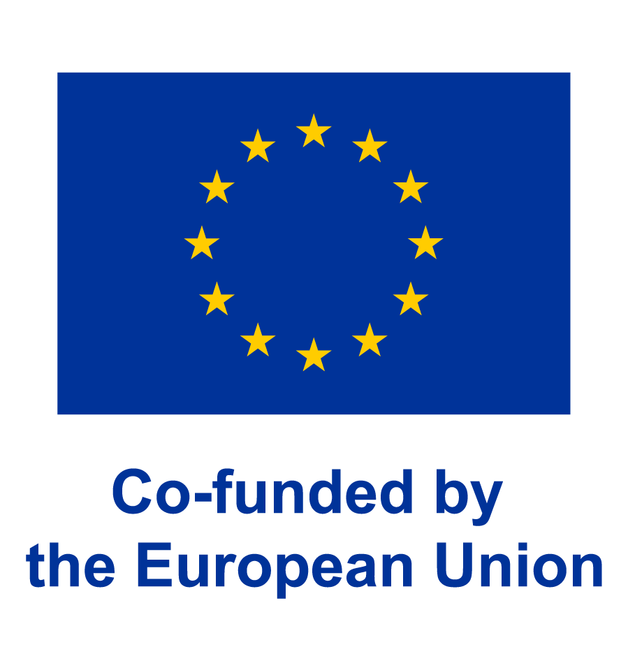 Co-funded by the European Union identifier
